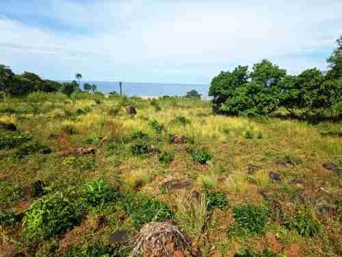 Land for sale at Number 2